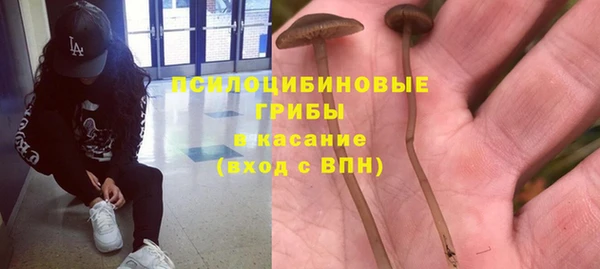мяу мяу мука Бронницы